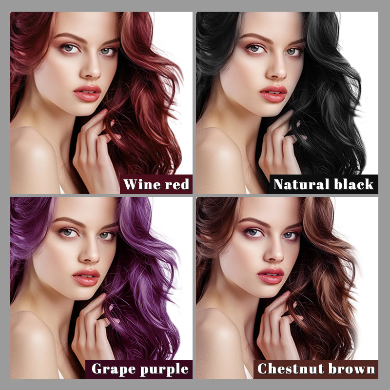3-in-1 Black Hair Dye Shampoo for Gray Coverage – Natural Herbal Hair Color Shampoo for Men & Women 500ML
