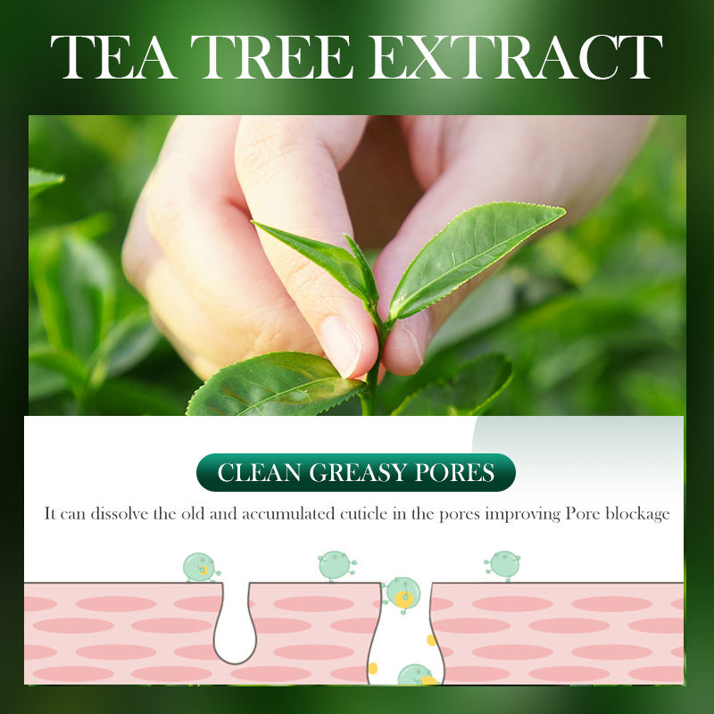 100% Organic Tea Tree Oil Acne Control Face Cream for Smooth Skin Care